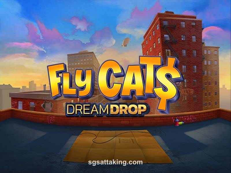 Fly Cats Dream Drop